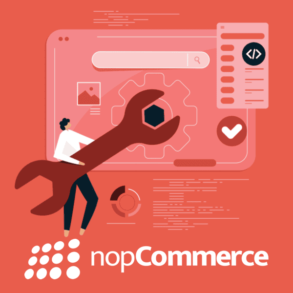 NopCommerce Plugins